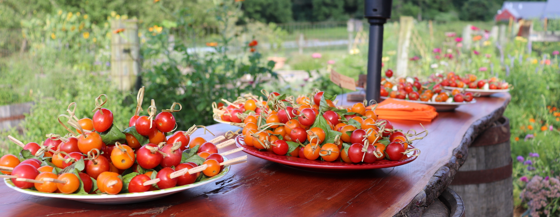 2024 Tomato Tasting at Rushton Farm | August 3